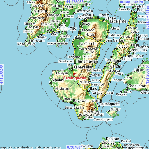 Topographic map of Camingawan