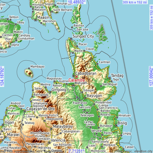 Topographic map of Calamba