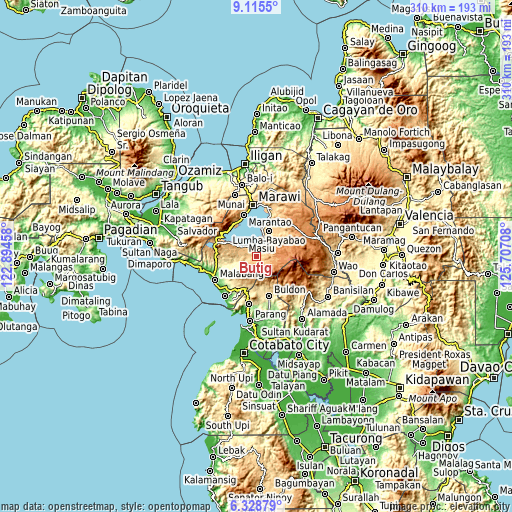 Topographic map of Butig