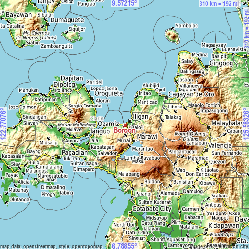 Topographic map of Boroon