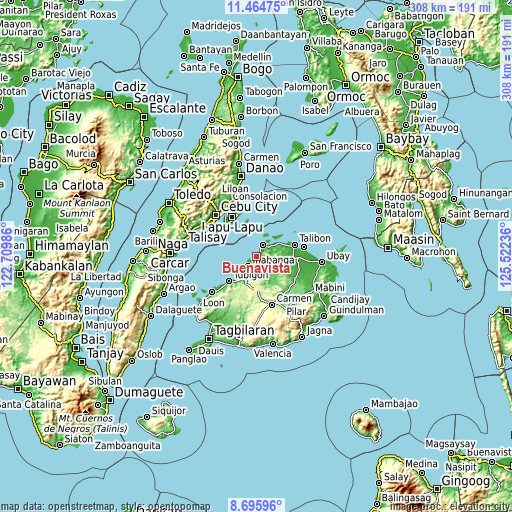 Topographic map of Buenavista