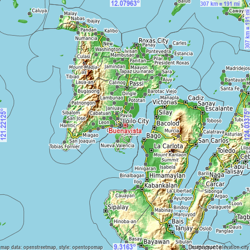 Topographic map of Buenavista