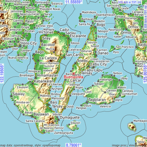 Topographic map of Buenavista