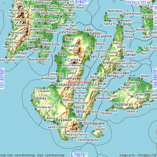 Topographic map of Buenavista