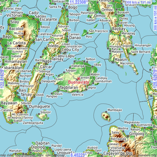 Topographic map of Buenavista