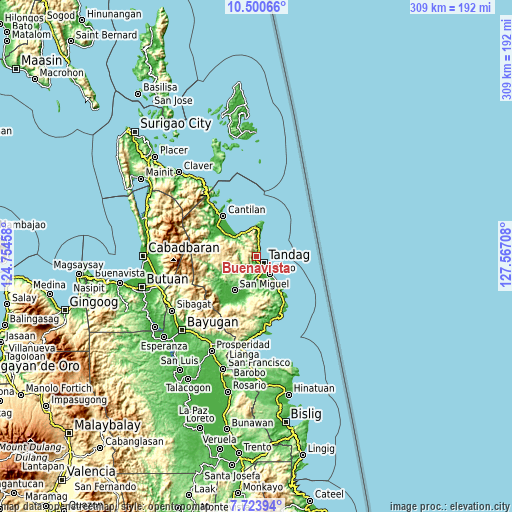 Topographic map of Buenavista