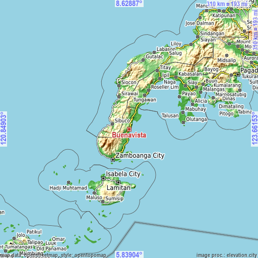 Topographic map of Buenavista