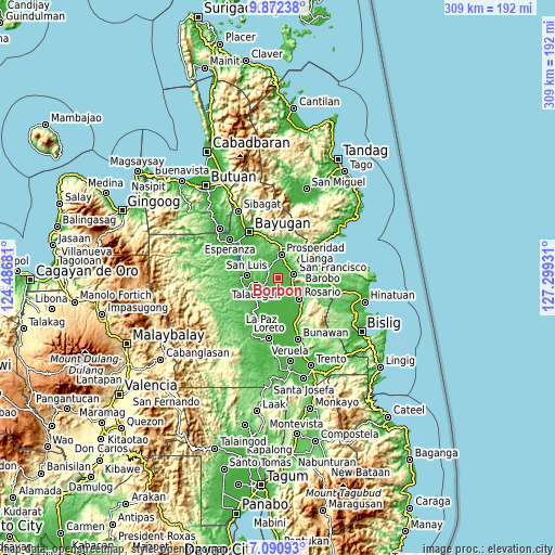 Topographic map of Borbon