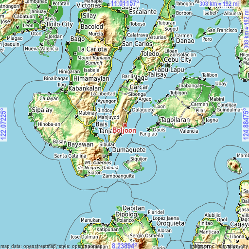 Topographic map of Boljoon