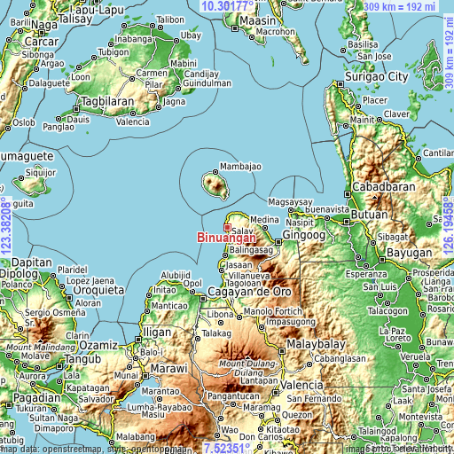 Topographic map of Binuangan