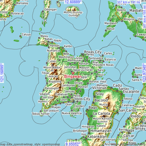 Topographic map of Bingawan