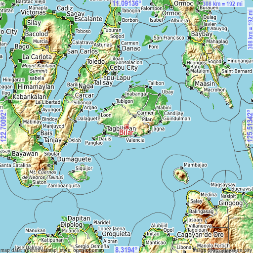 Topographic map of Bilar