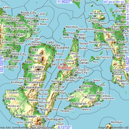 Topographic map of Biasong