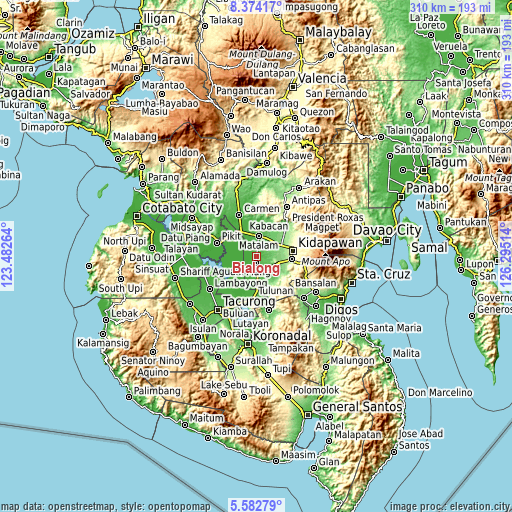 Topographic map of Bialong