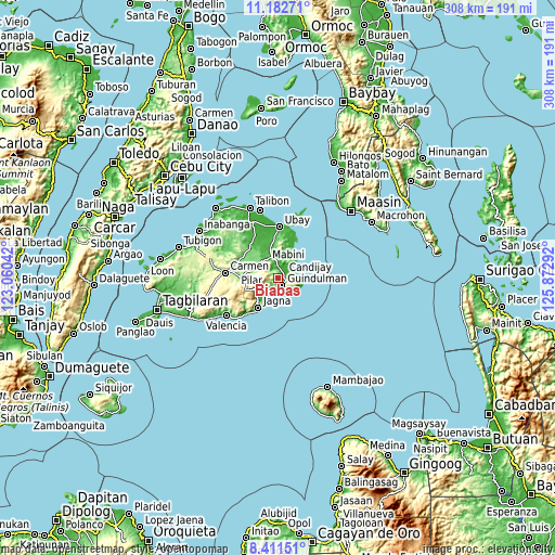 Topographic map of Biabas