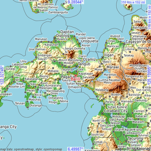 Topographic map of Balili