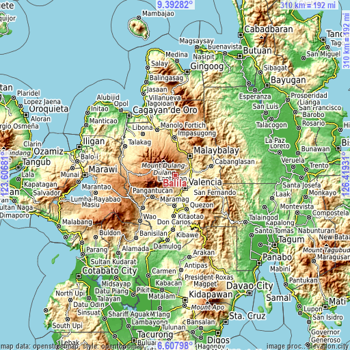 Topographic map of Balila