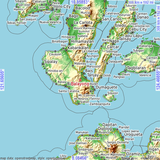 Topographic map of Balayong