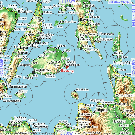 Topographic map of Bacong