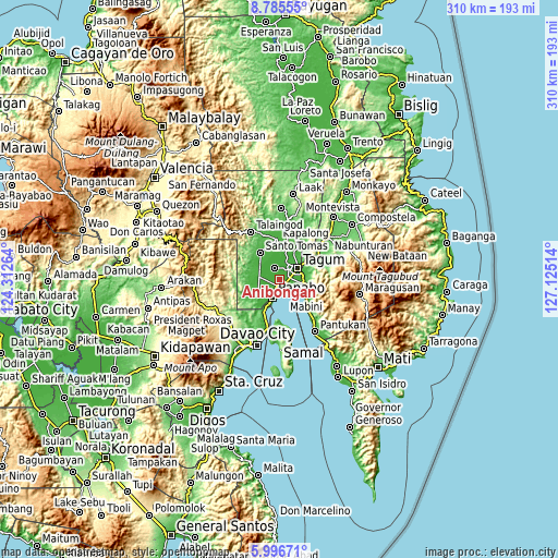 Topographic map of Anibongan