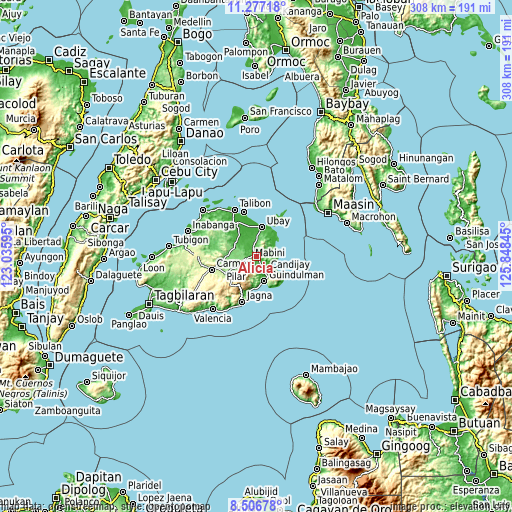 Topographic map of Alicia