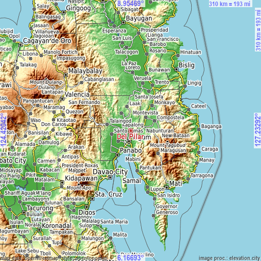 Topographic map of Del Pilar