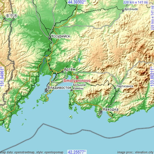 Topographic map of Smolyaninovo