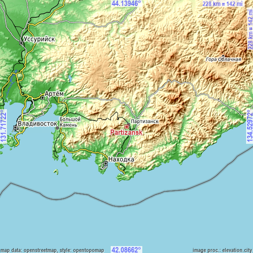Topographic map of Partizansk
