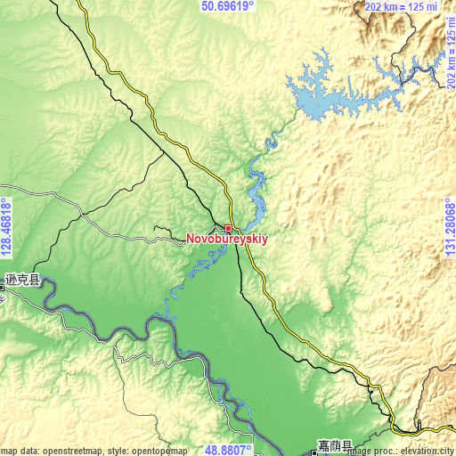 Topographic map of Novobureyskiy