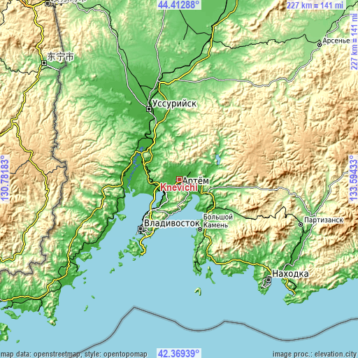 Topographic map of Knevichi