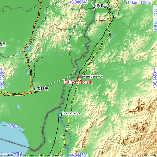 Topographic map of Dalnerechensk