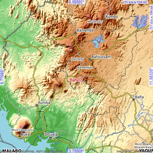 Topographic map of Bafang