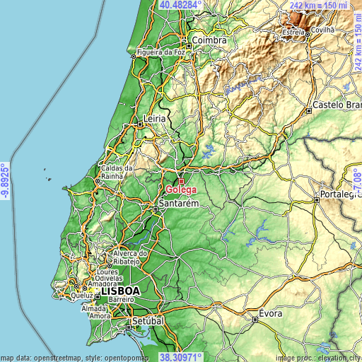 Topographic map of Golegã