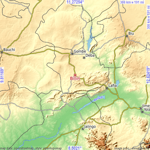 Topographic map of Billiri