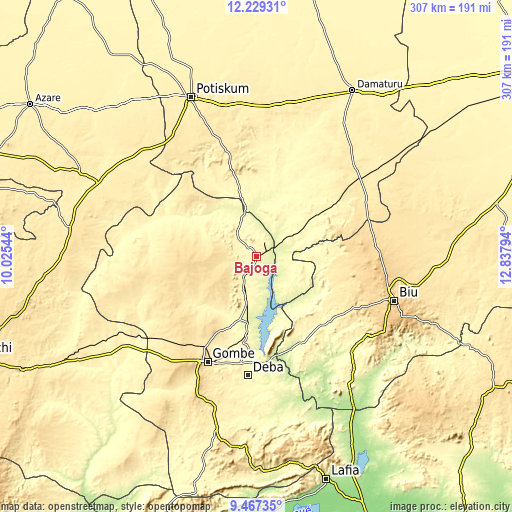 Topographic map of Bajoga