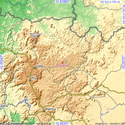 Topographic map of Tougué