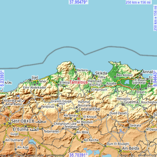 Topographic map of Tamalous