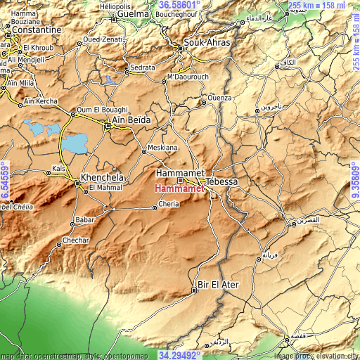 Topographic map of Hammamet