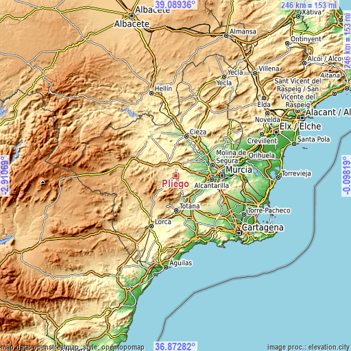 Topographic map of Pliego