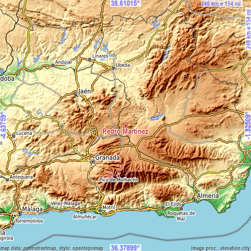 Topographic map of Pedro Martínez