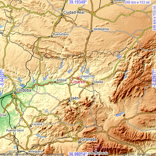 Topographic map of Linares