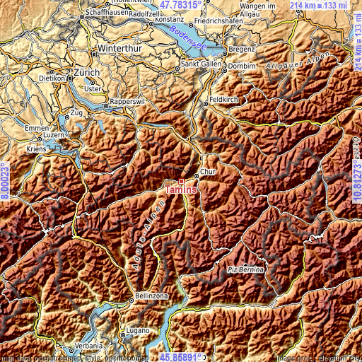 Topographic map of Tamins