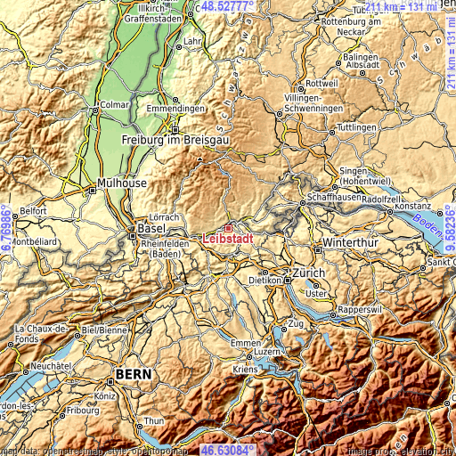 Topographic map of Leibstadt