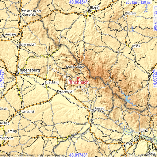 Topographic map of Rinchnach