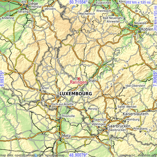Topographic map of Ralingen