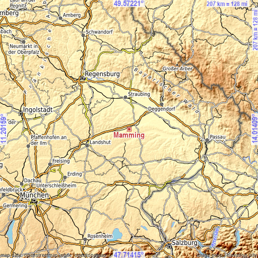 Topographic map of Mamming