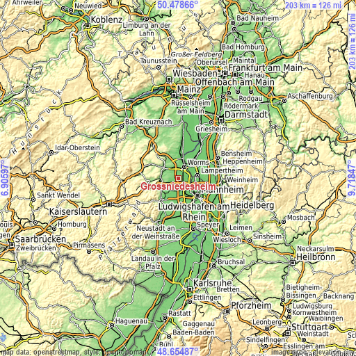 Topographic map of Großniedesheim