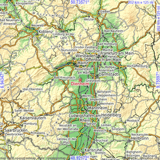 Topographic map of Dienheim