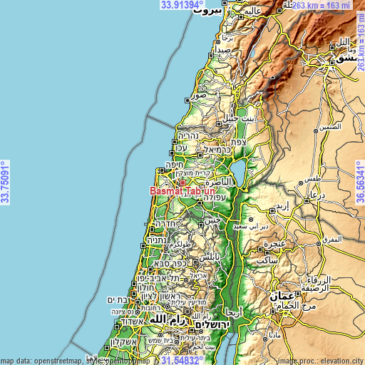 Topographic map of Basmat Ṭab‘ūn