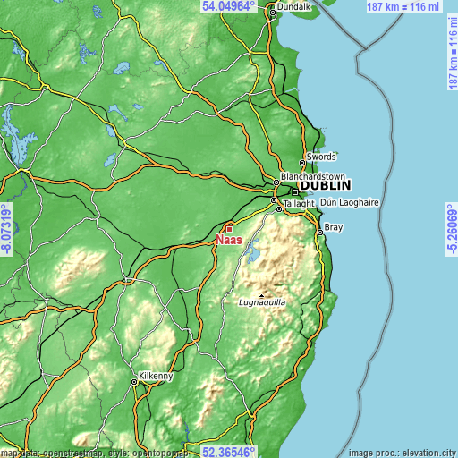 Topographic map of Naas
